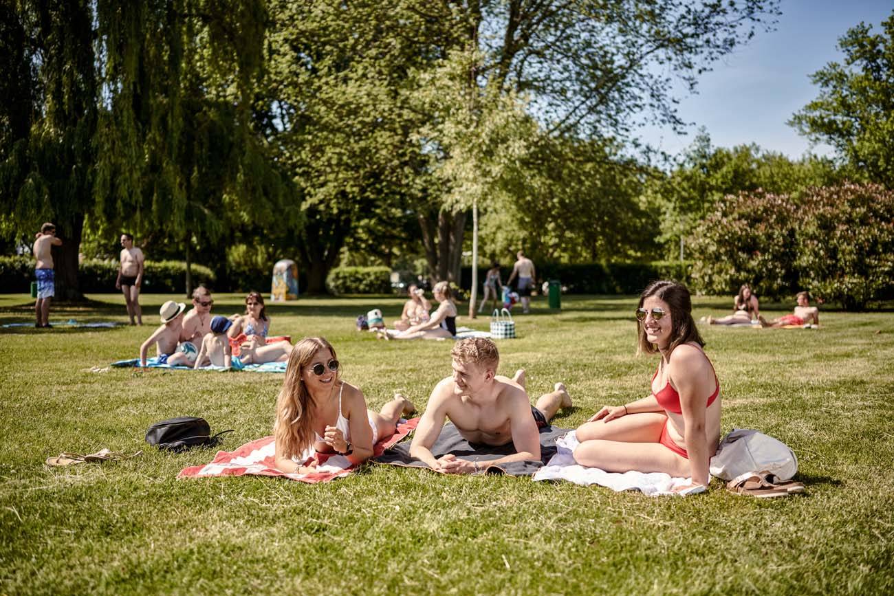A group of people sitting on top of a lush green field