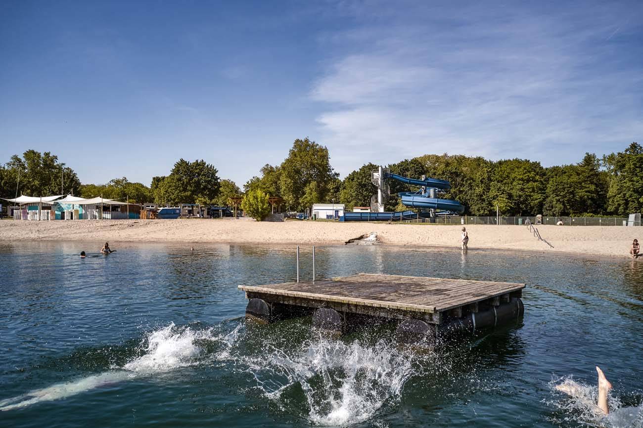 Holzinsel im Wasser