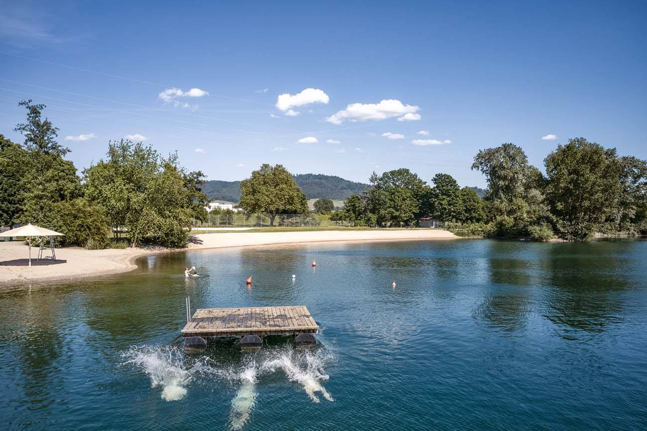 Holzinsel im Wasser